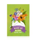 General Spring Postcard